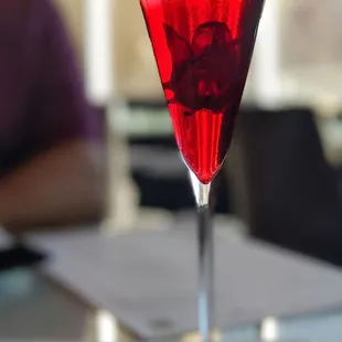 Hibiscus mimosa | IG: asianadventuretime