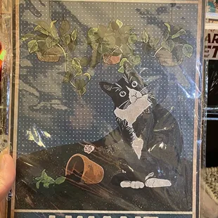 Cats really do what they want.