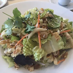 Hoisin Chicken Salad