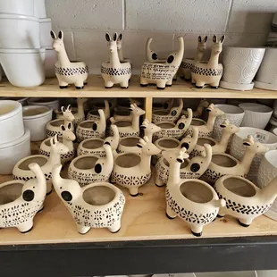 Elephants, giraffes, and alpacas!