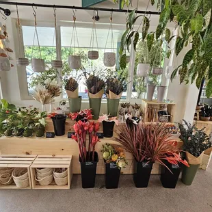 Hanging planters and more...