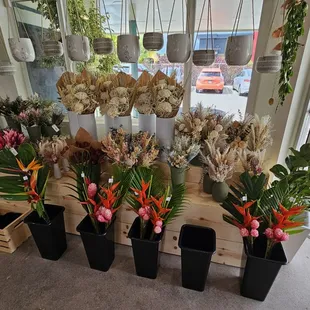 Freshly cut flowers for your own arrangements... and dried flowers...