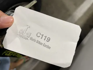 Mari’s Urban Garden