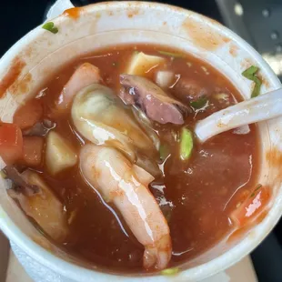 Octopus