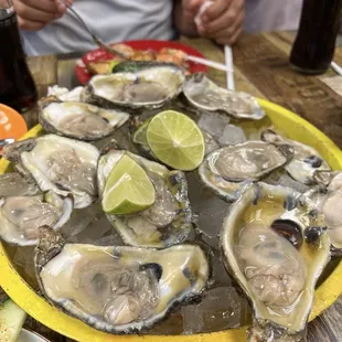 oysters, food, oysters and mussels, shellfish, mussels