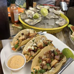 mussels, oysters, oysters and mussels, shellfish, food