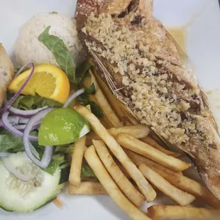 Red Snapper