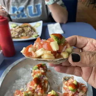 Oysters in the Half Shell