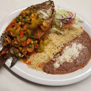 Mojarra Veracruz mojarra veracruzana