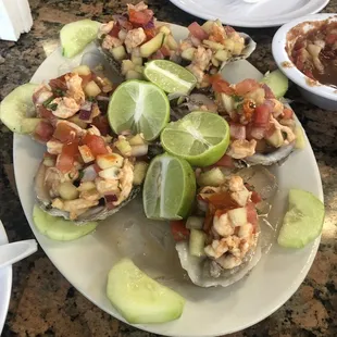 Oysters