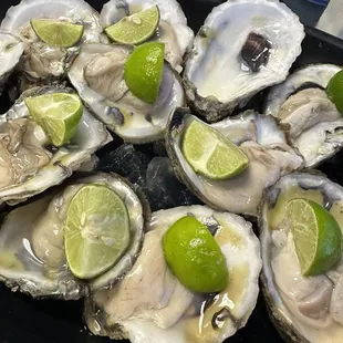 Oysters