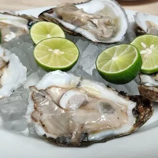 Oysters