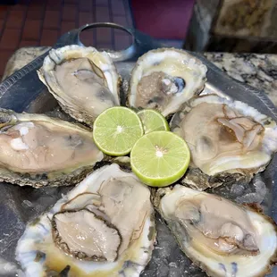 Oysters