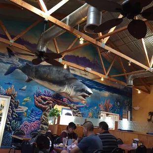 Jaws!