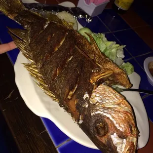Large pescado frito (fried fish).