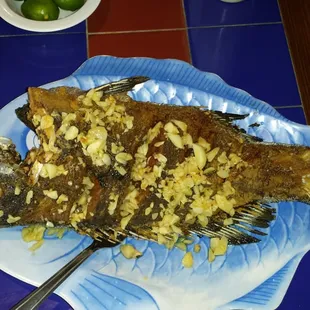 a whole fish on a blue plate