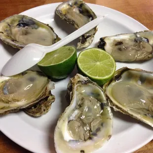 Oysters