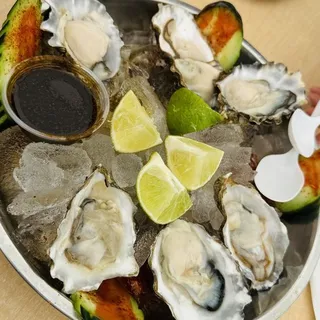 6 oysters