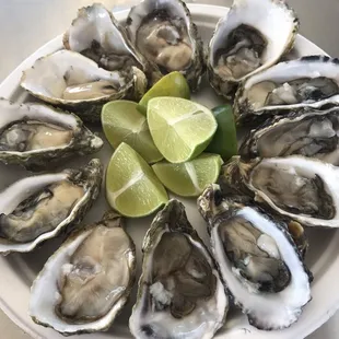 a plate of oysters
