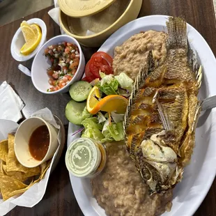 grilled fish, food