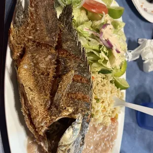 Mojarra