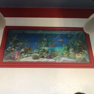 a fish tank