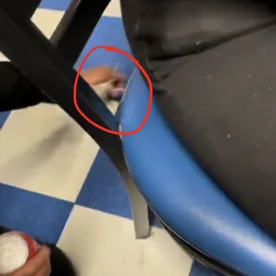 RAT