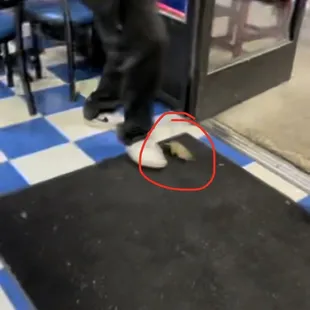 The man kicked the RAT outside