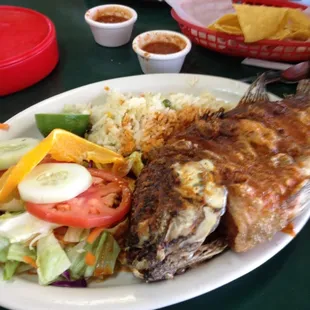 Fish