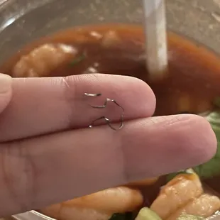 I ordered the shrimp cocktail. It was good until I took a bite of what looks like a fiber from a steel wool sponge.