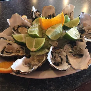 Oysters