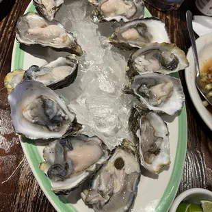 Oysters