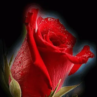 MissMartha M.