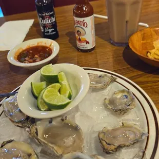 Oysters