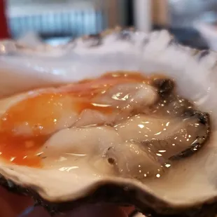 Oyster.
