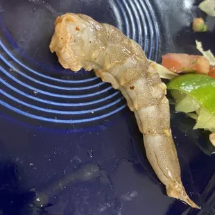 Shrimp