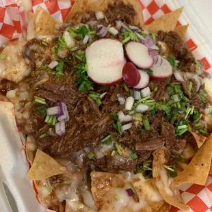 Birria nachos