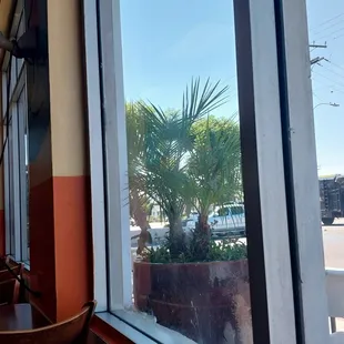 Sanitation issues look at the window seal flies