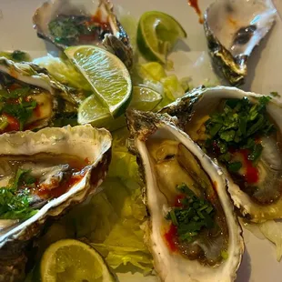 Fresh delicious oysters