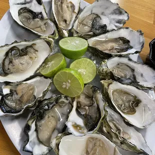 Oysters