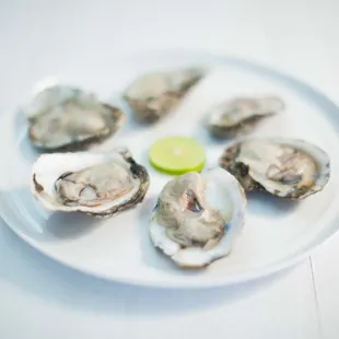 Half-Dozen Oysters / Oysters on the half shell / Media docena de ostras