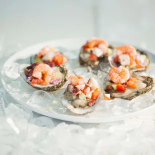 Oysters