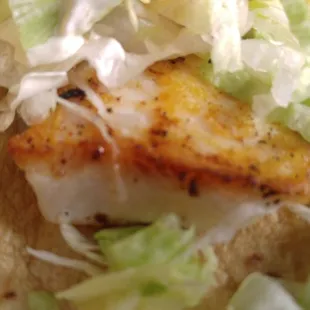 Grilled Fish Taco