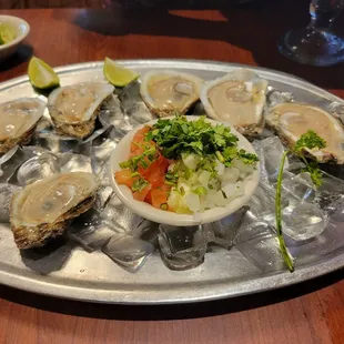 Oysters