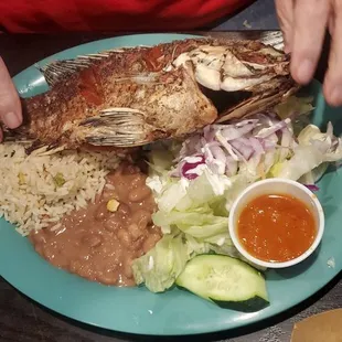 Tilapia