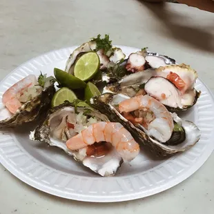 Oysters