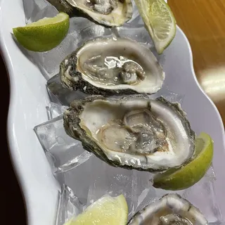 Oysters