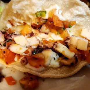 Octopus taco
