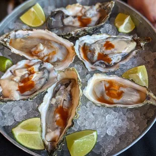 Oysters