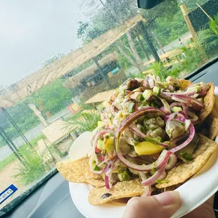 food, sandwich, sandwiches